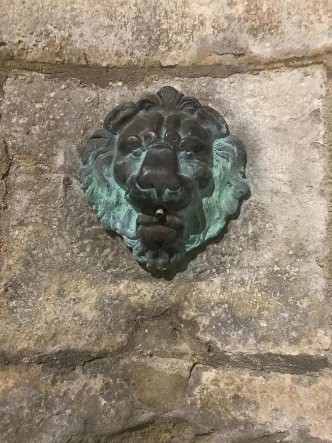 Le Clos Saint Michel 卡尔卡松 外观 照片